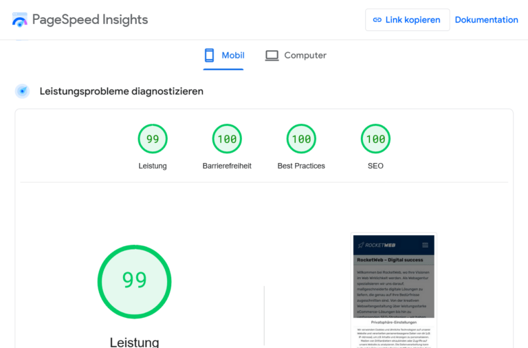 Performance-Ergebnisse von RocketWeb bei PageSpeed Insights